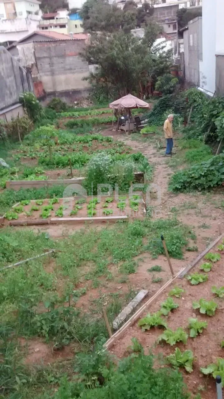 Terreno à venda em Vila Albertina, São Paulo