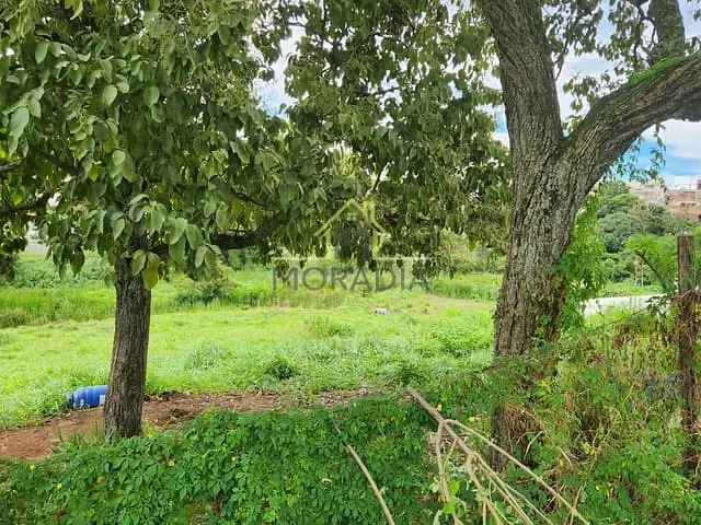 Terreno com 1856m², à venda, no bairro Morada do Sol em Guaxupé