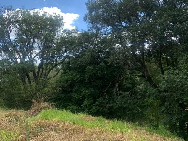 Terreno com 6347m², à venda, no bairro Godoy em Extrema