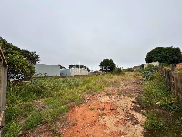 Terreno com 611m², à venda, no bairro Vila São Carlos em Apucarana