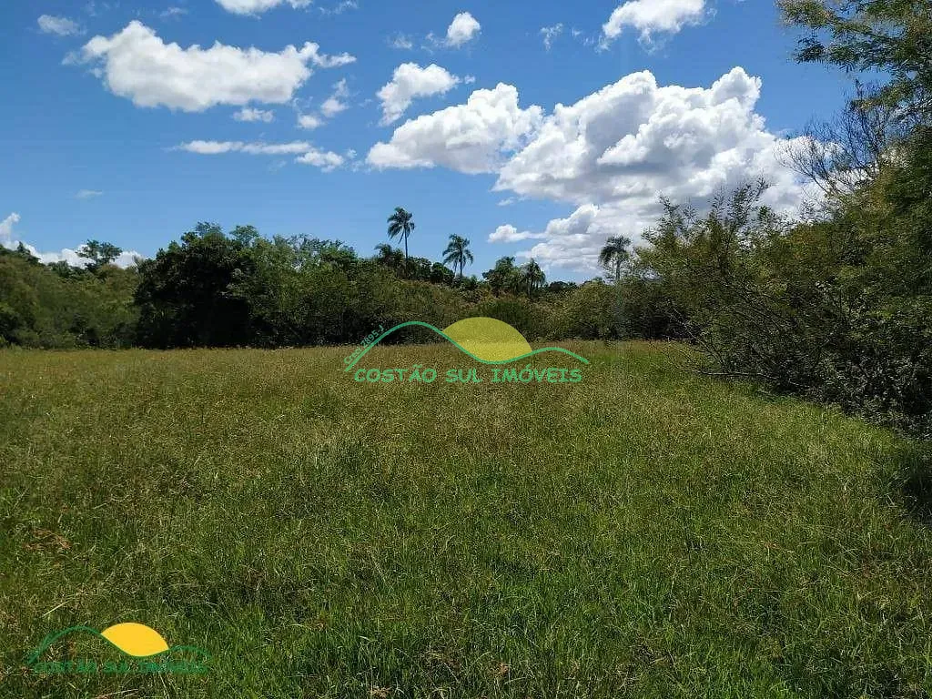 Terreno, 6 hectares - Foto 10