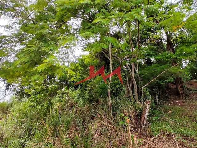 Terreno com 7708m², à venda, no bairro Santa Isabel em São Gonçalo