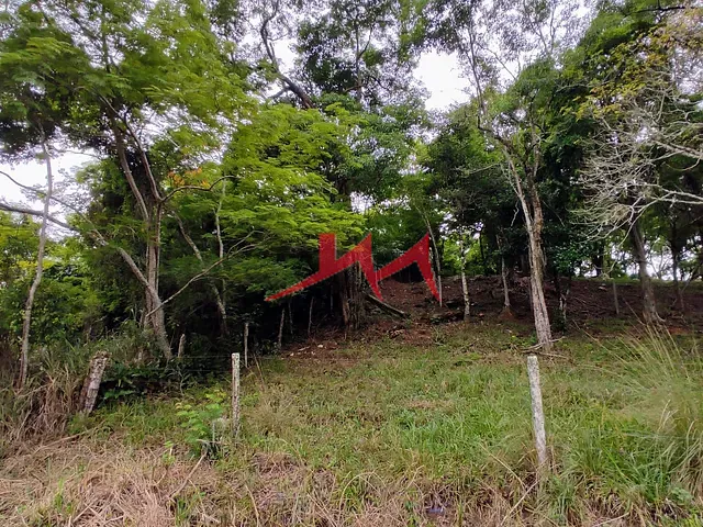 Terreno com 7708m², à venda, no bairro Santa Isabel em São Gonçalo