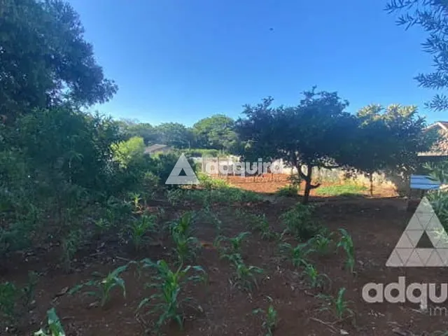 Terreno com 981m², à venda, no bairro Colônia Dona Luíza em Ponta Grossa