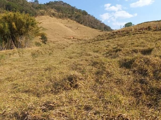 Foto do anúncio: Terreno à Venda em Anhumas, Itajubá MG