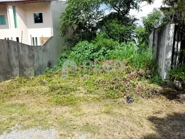 Terreno com 394m², à venda, no bairro Jardim Virginia Bianca em São Paulo