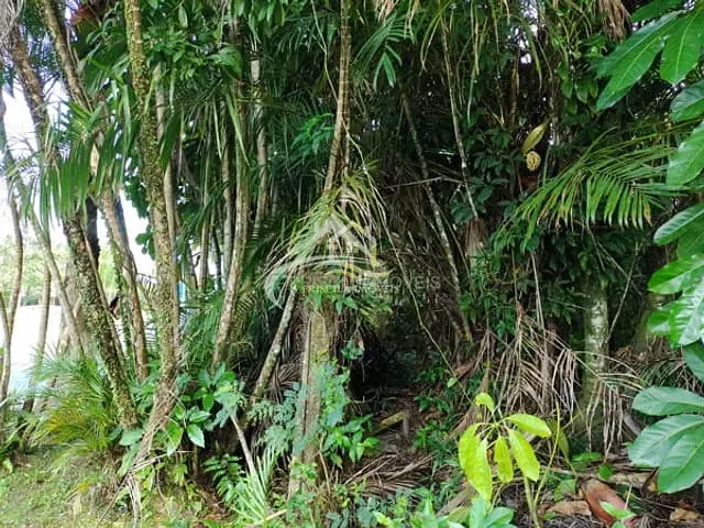 Terreno com 569m², à venda, no bairro Boracéia 2 em São Sebastião
