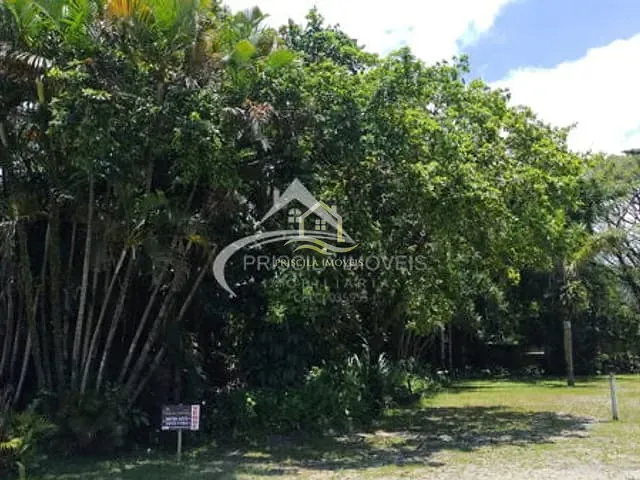 Terreno com 569m², à venda, no bairro Boracéia 2 em São Sebastião
