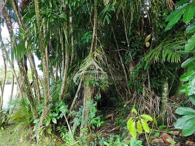 Terreno com 569m², à venda, no bairro Boracéia 2 em São Sebastião