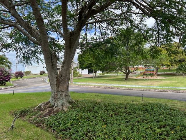 Terreno com 360m², à venda, no bairro Canafístula em Arapiraca