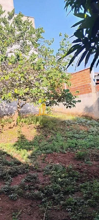 Terreno, 440 m² - Foto 9