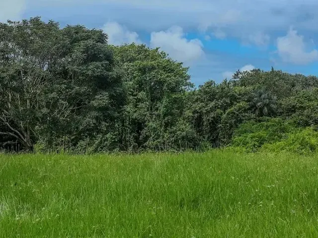 Terreno com 537m², à venda, no bairro Várzea em Recife