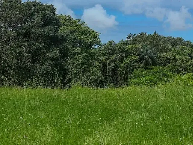 Terreno com 537m², à venda, no bairro Várzea em Recife