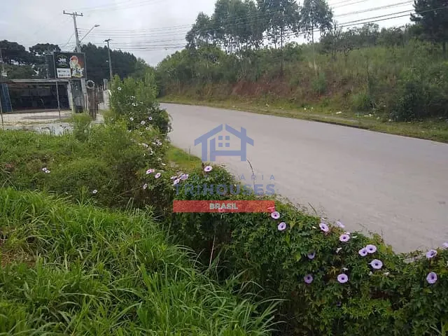 Terreno com 1584m², à venda, no bairro Campina do Arruda em Almirante Tamandaré