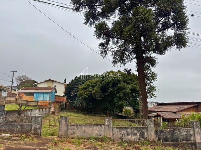 Terreno com 675m², à venda, no bairro Centro em Apucarana
