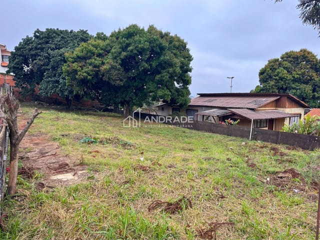 Terreno com 675m², à venda, no bairro Centro em Apucarana