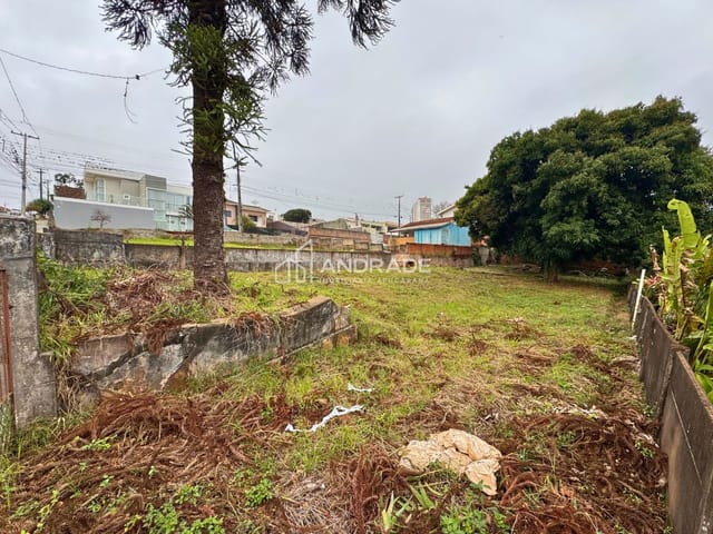 Terreno com 675m², à venda, no bairro Centro em Apucarana