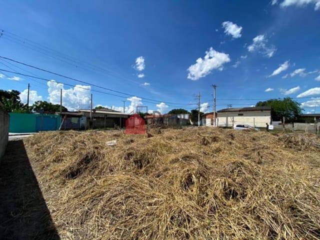 Terreno com 289m², à venda, no bairro Jardim Regina em Pindamonhangaba