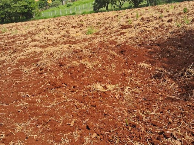 Terreno com 20455m², à venda, no bairro FAZENDA NATA em Londrina