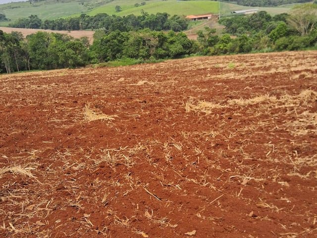 Terreno com 20455m², à venda, no bairro FAZENDA NATA em Londrina