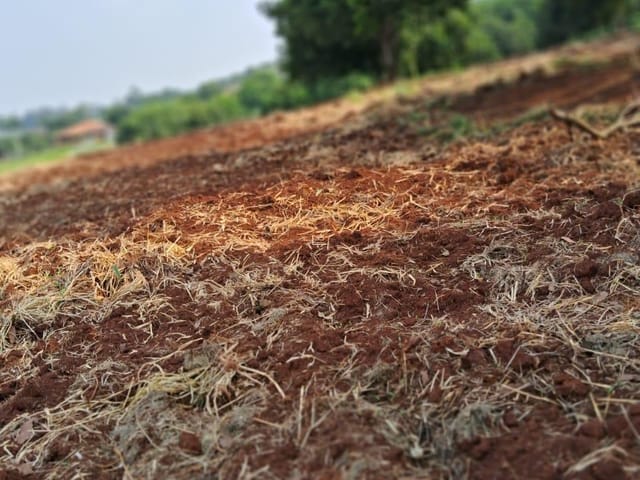 Terreno com 20455m², à venda, no bairro FAZENDA NATA em Londrina