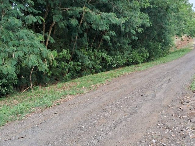 Terreno com 20455m², à venda, no bairro FAZENDA NATA em Londrina