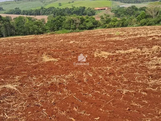 Terreno com 20455m², à venda, no bairro FAZENDA NATA em Londrina