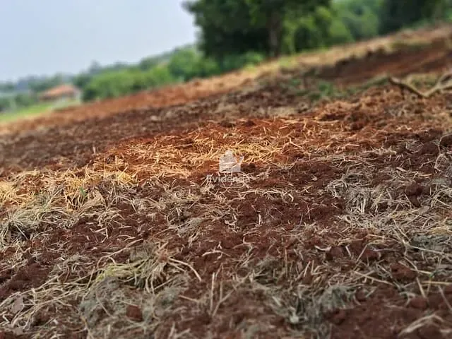 Terreno com 20455m², à venda, no bairro FAZENDA NATA em Londrina