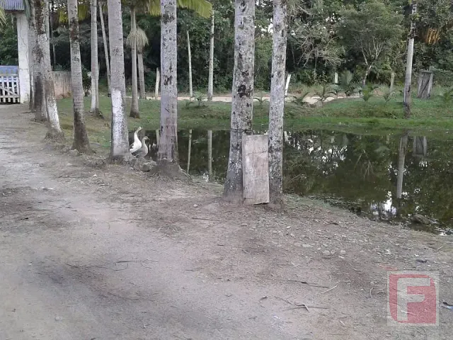 Terreno com 124250m², à venda, no bairro SAÍ MIRIM em São Francisco do Sul