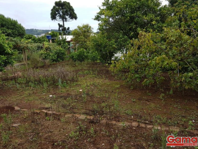 Terreno com 334m², à venda, no bairro Sagrada Familia em Nova Prata