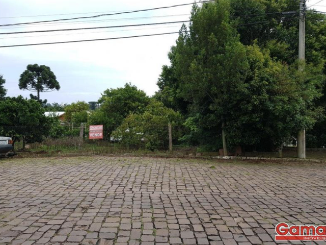 Terreno com 334m², à venda, no bairro Sagrada Familia em Nova Prata