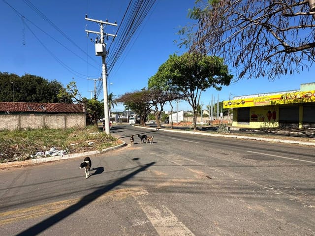 Foto do Terreno - Lote de esquina , bem localizado na principal avenida do Jardim Miramar 375 m. Cliente aceita permuta !! | Maxwell Imóveis