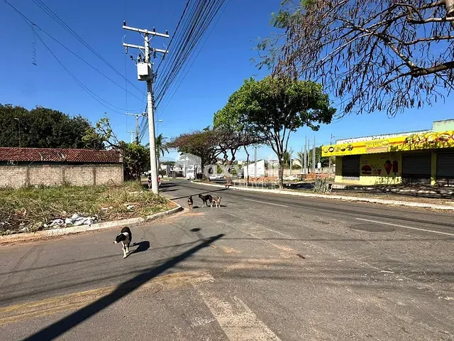 Terreno com 375m², à venda, no bairro Jardim Miramar em Aparecida de Goiânia