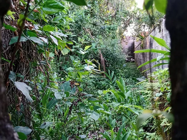 Terreno com 432m², à venda, no bairro Boracéia 2 em São Sebastião