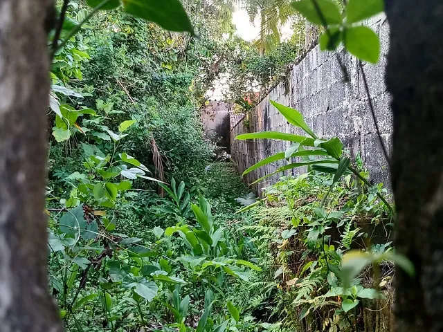Terreno com 432m², à venda, no bairro Boracéia 2 em São Sebastião