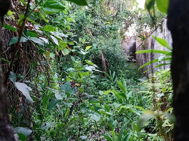 Terreno com 432m², à venda, no bairro Boracéia 2 em São Sebastião