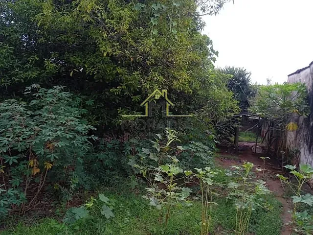 Terreno com 250m², à venda, no bairro Vila Santa Bárbara em Guaxupé