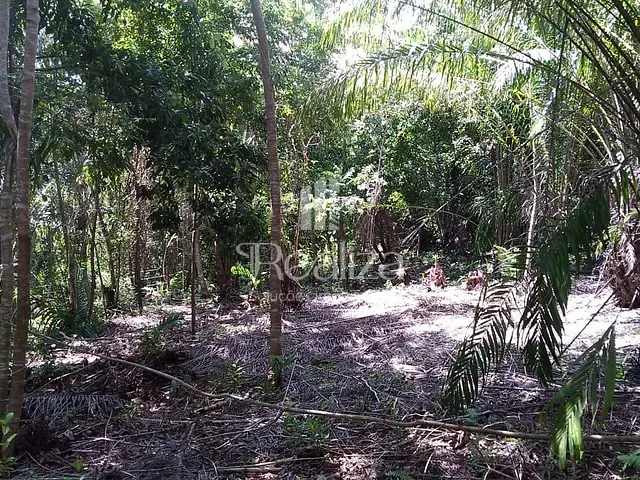 Terreno com 1610m², à venda, no bairro MAOMÃ em Ilhéus