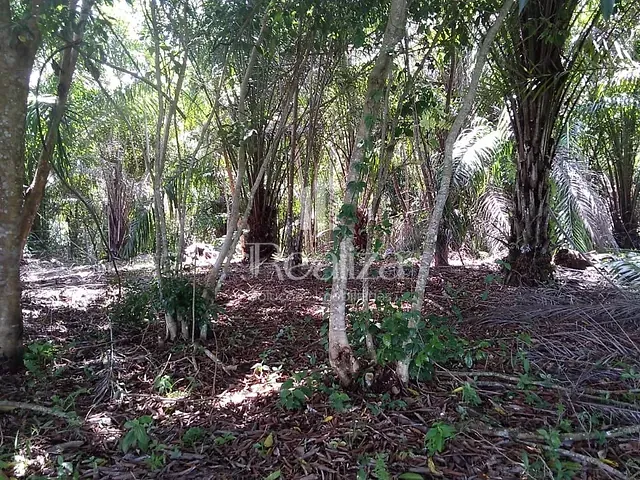Terreno com 1610m², à venda, no bairro MAOMÃ em Ilhéus