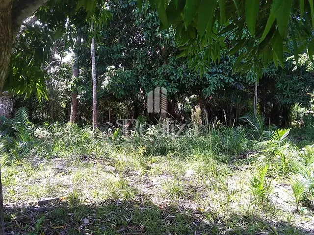 Terreno com 1610m², à venda, no bairro MAOMÃ em Ilhéus