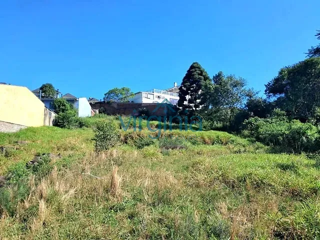 Terreno com 1230m², à venda, no bairro Rondônia em Novo Hamburgo