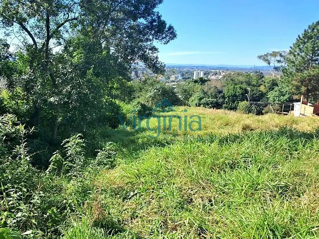 Terreno com 1230m², à venda, no bairro Rondônia em Novo Hamburgo