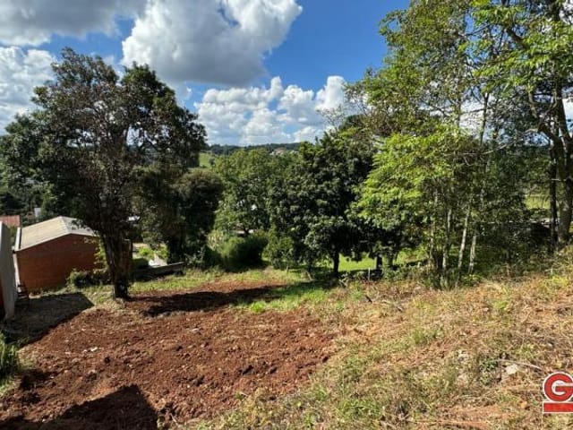 Terreno com 512m², à venda, no bairro Loteamento Tia Gessi em Nova Prata