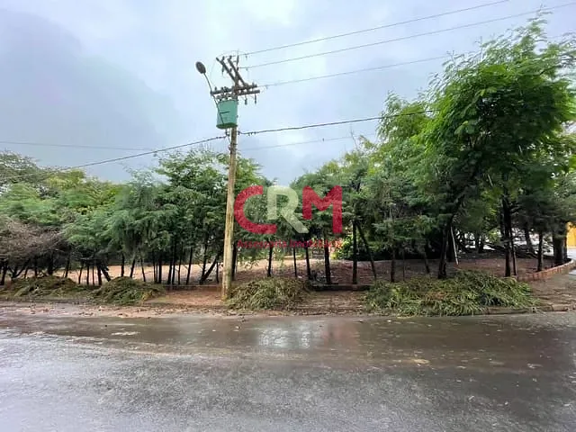 Terreno com 516m², à venda, no bairro Rincão em Taquaritinga