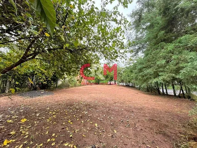 Terreno com 516m², à venda, no bairro Rincão em Taquaritinga