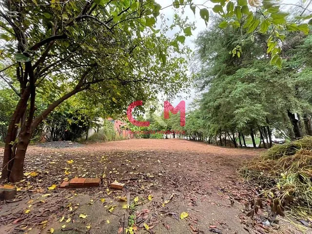 Terreno com 516m², à venda, no bairro Rincão em Taquaritinga