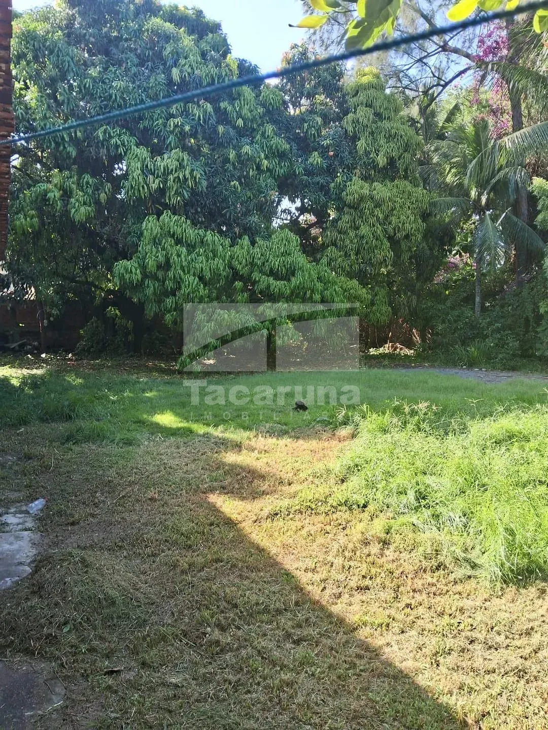 Terreno, 2100 m² - Foto 8