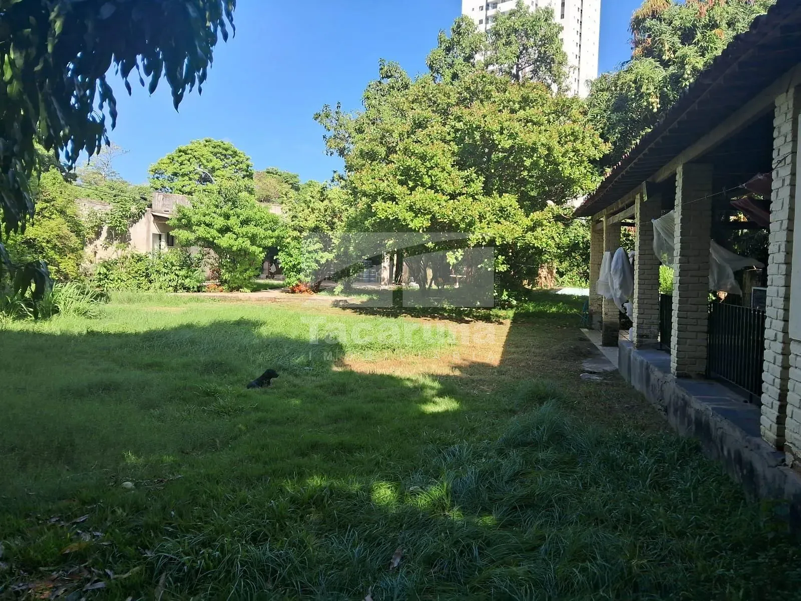 Terreno, 2100 m² - Foto 2