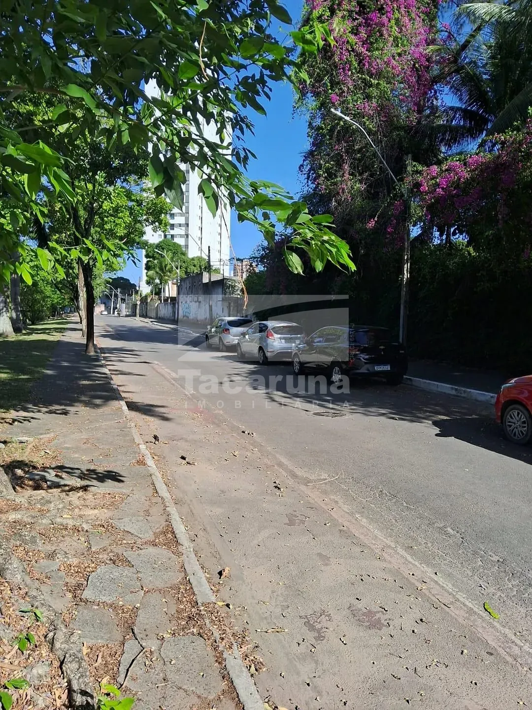 Terreno, 2100 m² - Foto 9