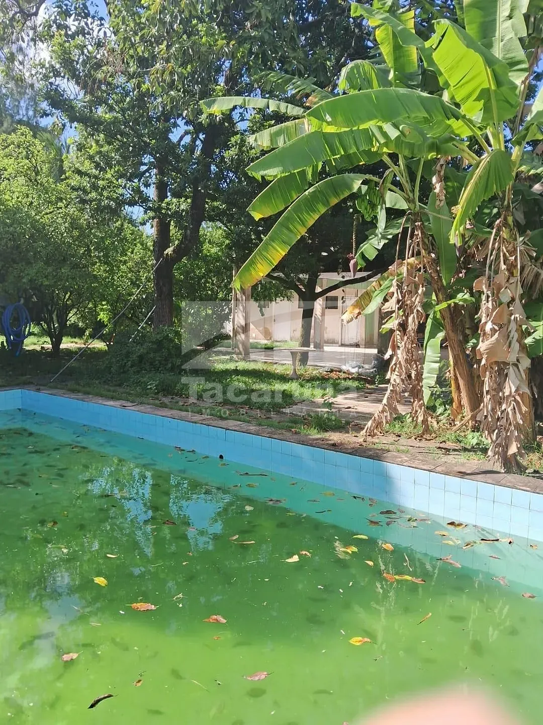 Terreno, 2100 m² - Foto 6